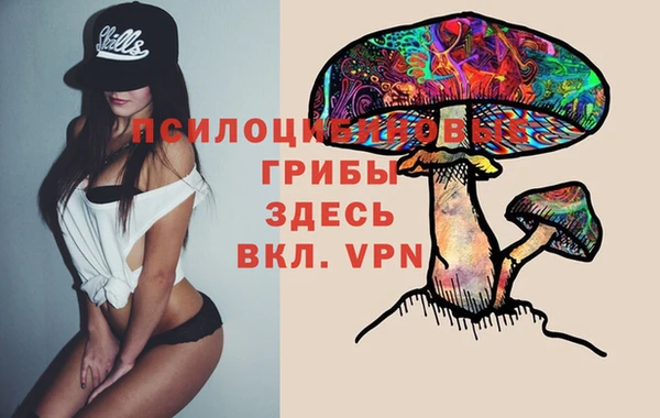 apvp Баксан